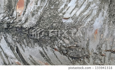 Close-up of tree bark showcasing unique patterns and textures. Perfect for backgrounds, graphic design, and nature-themed projects, adding an organic feel to your visual compositions. 133941318