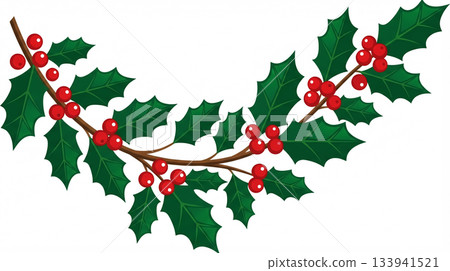 Minimalist Christmas card with holly illustration 133941521