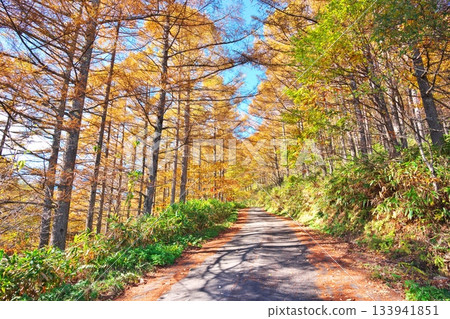 禦岳，木曾町，木曾郡：被美麗秋葉環繞的神聖山脈 133941851