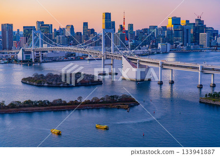 [Tokyo] Rainbow Bridge Twilight 133941887