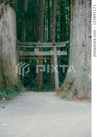 神秘的景色被茂密的森林環繞。 133942171