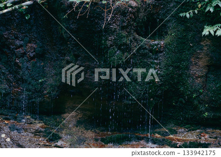 神秘的景色被茂密的森林環繞。 133942175