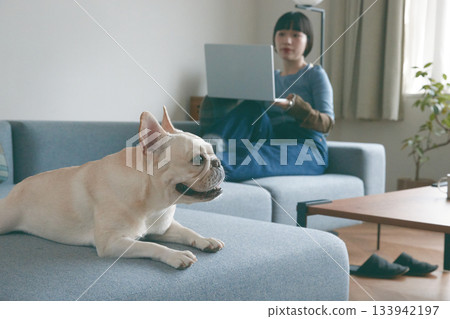 一位年輕女子和一隻狗在沙發上放鬆休息。 一位年輕女子和一隻狗在沙發上放鬆休息。 133942197
