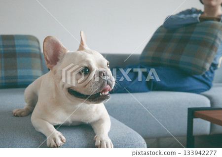 狗狗和女人在沙發上放鬆 133942277