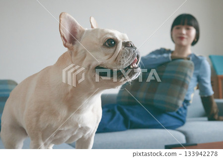 狗狗和女人在沙發上放鬆 133942278