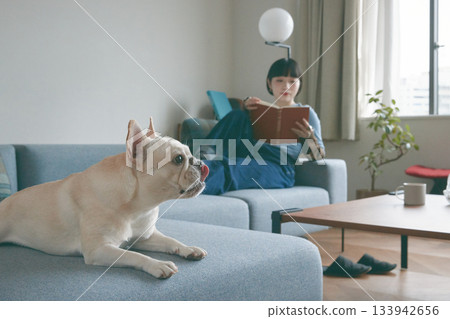 狗狗和女人在沙發上放鬆 133942656