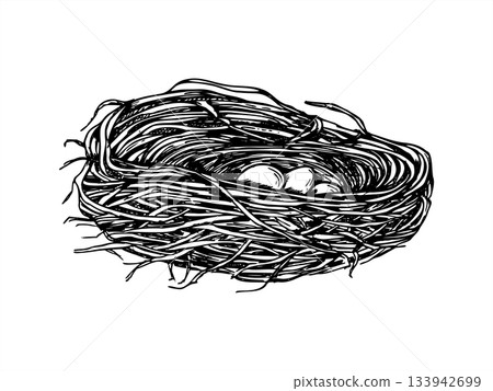 Vector wild bird nest cradling three small white eggs isolated illustration painted by black inks. Forest nest made of dried branches etching drawing. For wildlife conservation content, spring design Vector wild bird nest cradling three small white eggs isolated illustration painted by black inks. Forest nest made of dried branches etching drawing. For wildlife conservation content, spring design 133942699