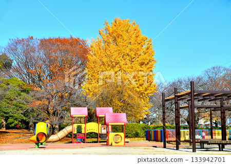 東京都舍人公園/兒童公園區（東京都足立區）[2025 年 12 月] 133942701