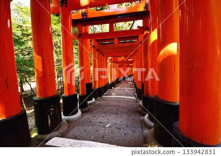 京都府，伏見稻荷大社，千鳥居（近月之宮本社），京都市伏見區，2022年2月 133942831