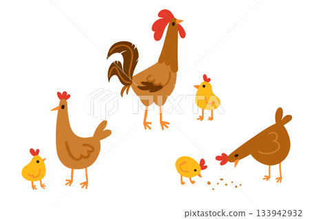 Set of farm domestic birds families in simple flat style isolated on white. Brown hens, rooster and chicks. Parents feeding offspring. Great for kids content, nursery prints, farm and animal designs 133942932