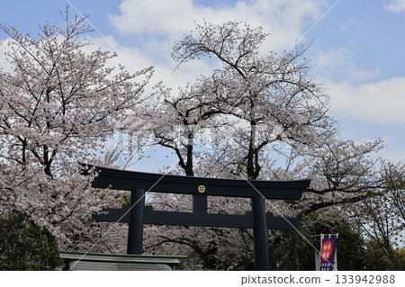 東京世田谷區書院神社的春日景色 133942988