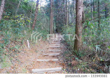 The hiking trail from the north entrance of the Diamond Trail to Mount Nijo (Kongo Mountains) The hiking trail from the north entrance of the Diamond Trail to Mount Nijo (Kongo Mountains) 133943081