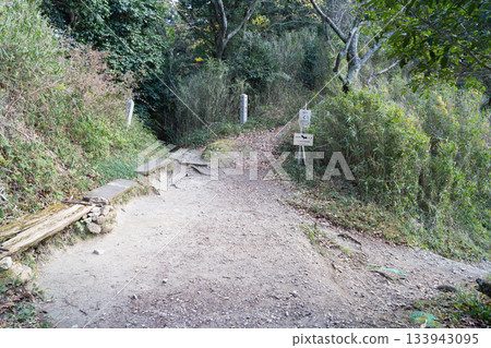 Iwaya Pass (Kongo Mountains, Mount Nijo) 133943095