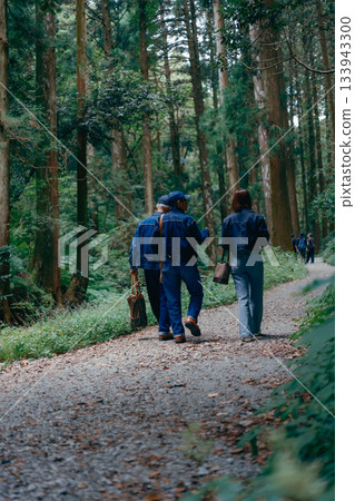 A scene of three parents and children walking along a forest path 133943300