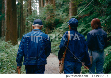 A scene of three parents and children walking along a forest path A scene of three parents and children walking along a forest path 133943304