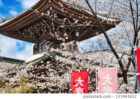 京都本峰寺的寶塔和美麗的櫻花（京都府京都市上京區） 133943632
