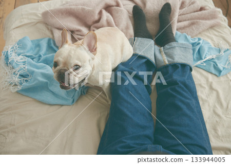 放鬆在床上的狗 133944005