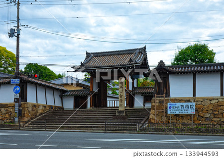 總本寺 智尺院 正門 總本寺 智尺院 正門 133944593