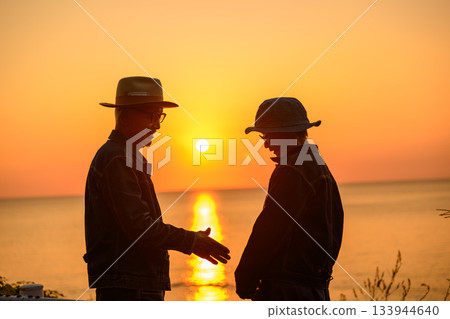 Senior men shaking hands 133944640