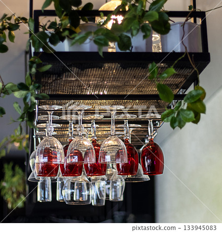 Hanging glass rack with red wine glasses and green plants in a modern bar setting Hanging glass rack with red wine glasses and green plants in a modern bar setting 133945083