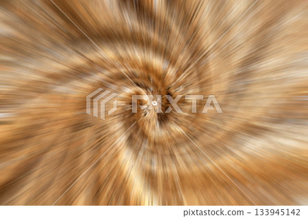 Abstract zoomed center with warm orange and brown radial pattern and wood texture 133945142