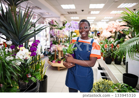 Young african american florist woman holding a potted orchid in a flower shop smiling at camera 133945310