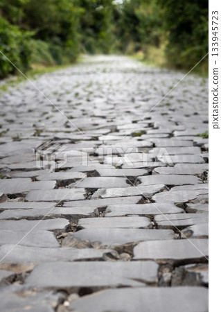 Quiet cobblestone road through lush greenery offers a tranquil scenic walk Quiet cobblestone road through lush greenery offers a tranquil scenic walk 133945723