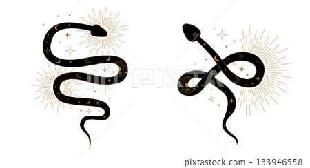 Abstract collection of stylized Kundalini snakes coiled in harmony with sacred geometry shapes. Spiritual design symbolizing awakening cosmic energy flow healing and transformation. 133946558