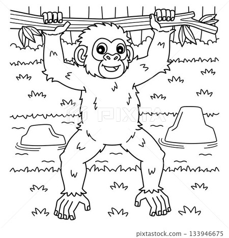 Chimpanzee Ape Coloring Page for Kids Chimpanzee Ape Coloring Page for Kids 133946675