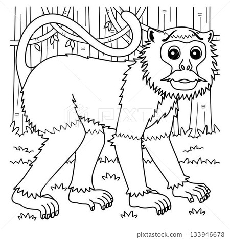 Patas Monkey Coloring Page for Kids 133946678