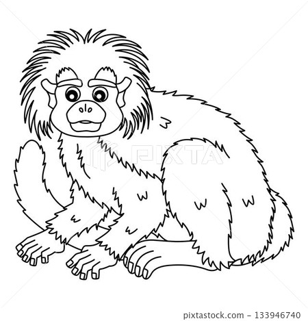 Cotton Top Tamarin Isolated Coloring Page for Kids Cotton Top Tamarin Isolated Coloring Page for Kids 133946740