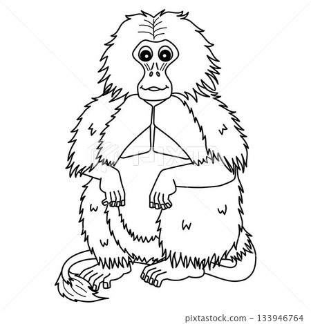 Gelada Monkey Isolated Coloring Page for Kids  133946764