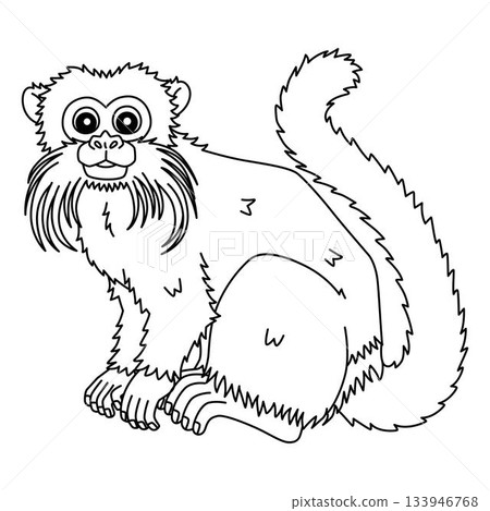 Emperor Tamarin Monkey Isolated Coloring Page Emperor Tamarin Monkey Isolated Coloring Page 133946768