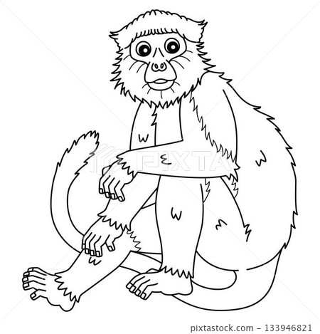 Monkey Red Colobus Isolated Coloring Page for Kids 133946821