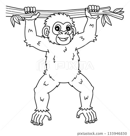 Chimpanzee Ape Isolated Coloring Page for Kids Chimpanzee Ape Isolated Coloring Page for Kids 133946830