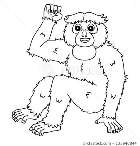 Siamang Monkey Isolated Coloring Page for Kids Siamang Monkey Isolated Coloring Page for Kids 133946844
