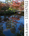 池塘倒映著秋葉 2 133947022