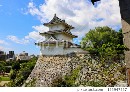 兵庫縣、明石市、兵庫縣立明石公園、明石城、辰巳塔 133947337