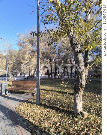 Enjoy a serene autumn scene in the park with a wooden bench surrounded by vibrant fallen leaves, creating a peaceful retreat in the heart of the city, perfect for relaxation. Enjoy a serene autumn scene in the park with a wooden bench surrounded by vibrant fallen leaves, creating a peaceful retreat in the heart of the city, perfect for relaxation. 133947417