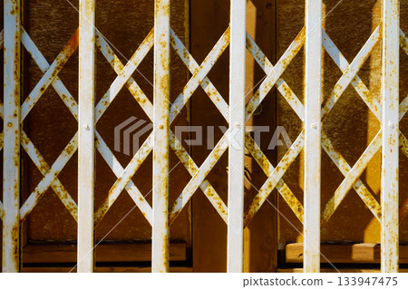 steel grid closed entrance door steel grid closed entrance door 133947475