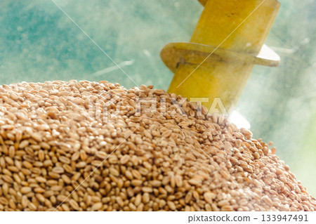 Pile of grain seeds in mixed in mixer machine Pile of grain seeds in mixed in mixer machine 133947491