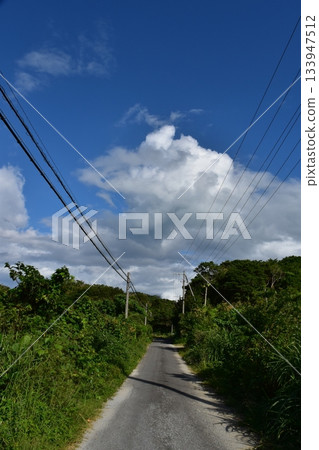 Hidden Roads in Nakijin Village 133947512