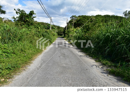 今歸仁村的隱藏道路 今歸仁村的隱藏道路 133947515