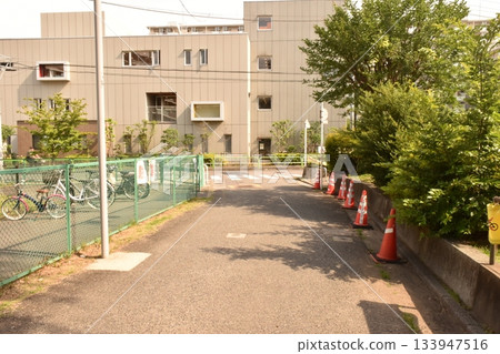 公園旁的小街景色 公園旁的小街景色 133947516
