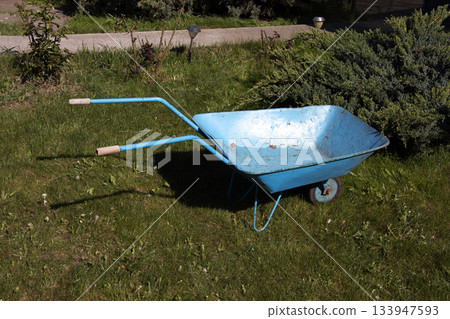 Blue wheelbarrow stands on a green lawn in spring. Gardening concept 133947593