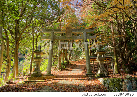 Torii gate of Nyu Shrine Torii gate of Nyu Shrine 133949080
