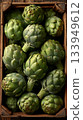 Fresh green artichokes gathered in a rustic wooden crate for market display 133949612