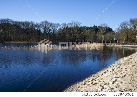 High water level in Annas Hoeve recreational forest in Hilversum, Netherlands during sunny weather in early spring 133949801