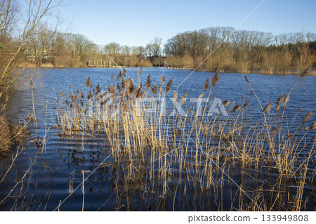 High water levels at Annas Hoeve in Hilversum, Netherlands during winter season near nature reserve and recreational area 133949808