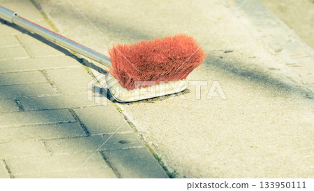 Closeup of orange broom lying down Closeup of orange broom lying down 133950111